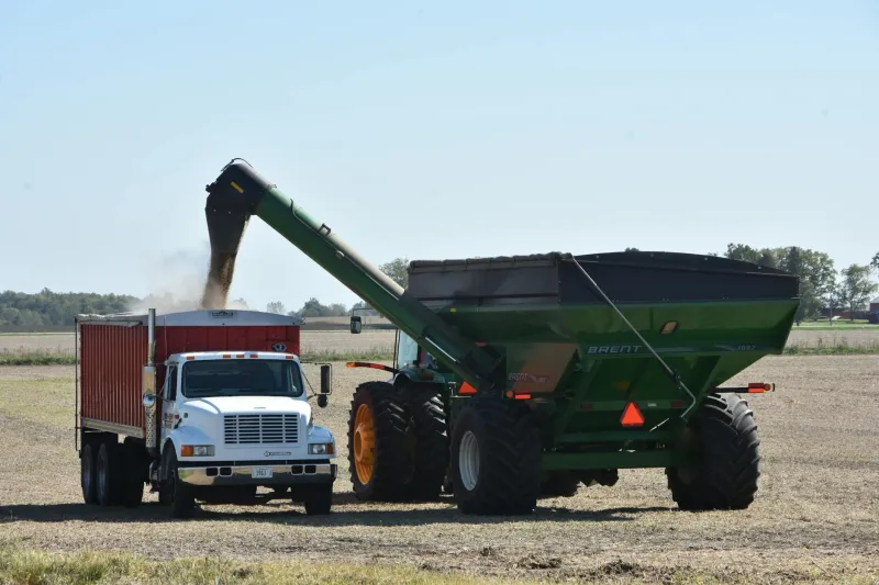 Die Transferfalle Nationalmannschaft: Warum ein starkes Turnier oft der Anfang vom Karriereende ist
